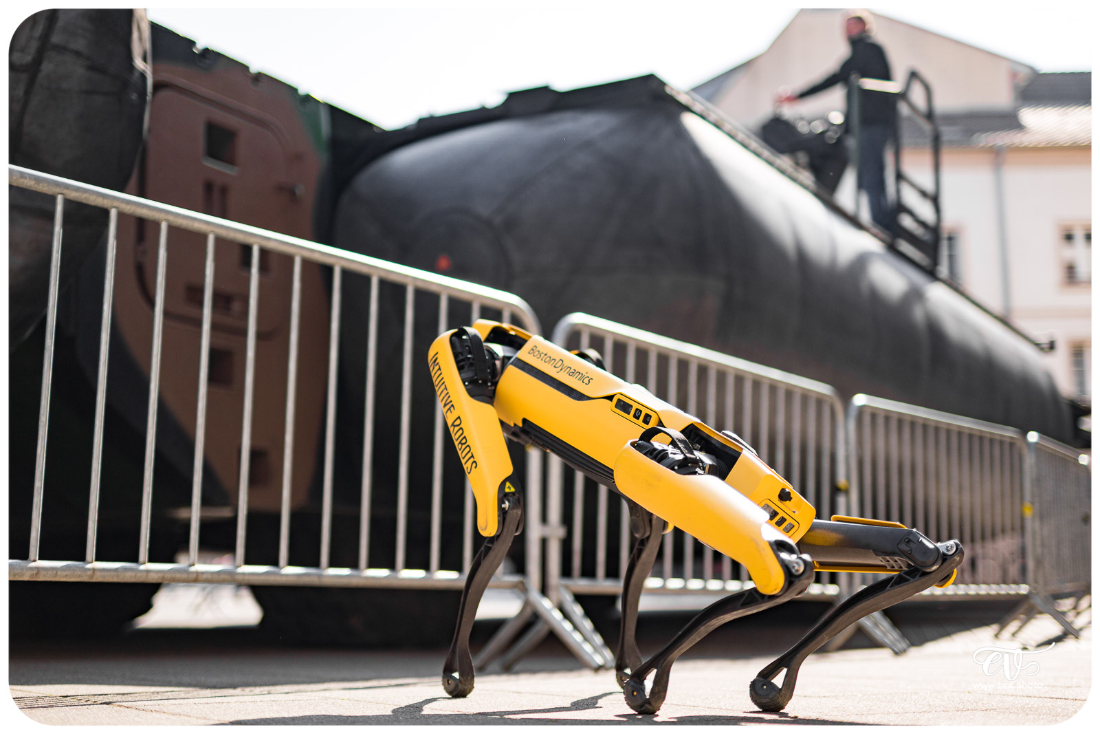 SPOT (BOSTON DYNAMICS)